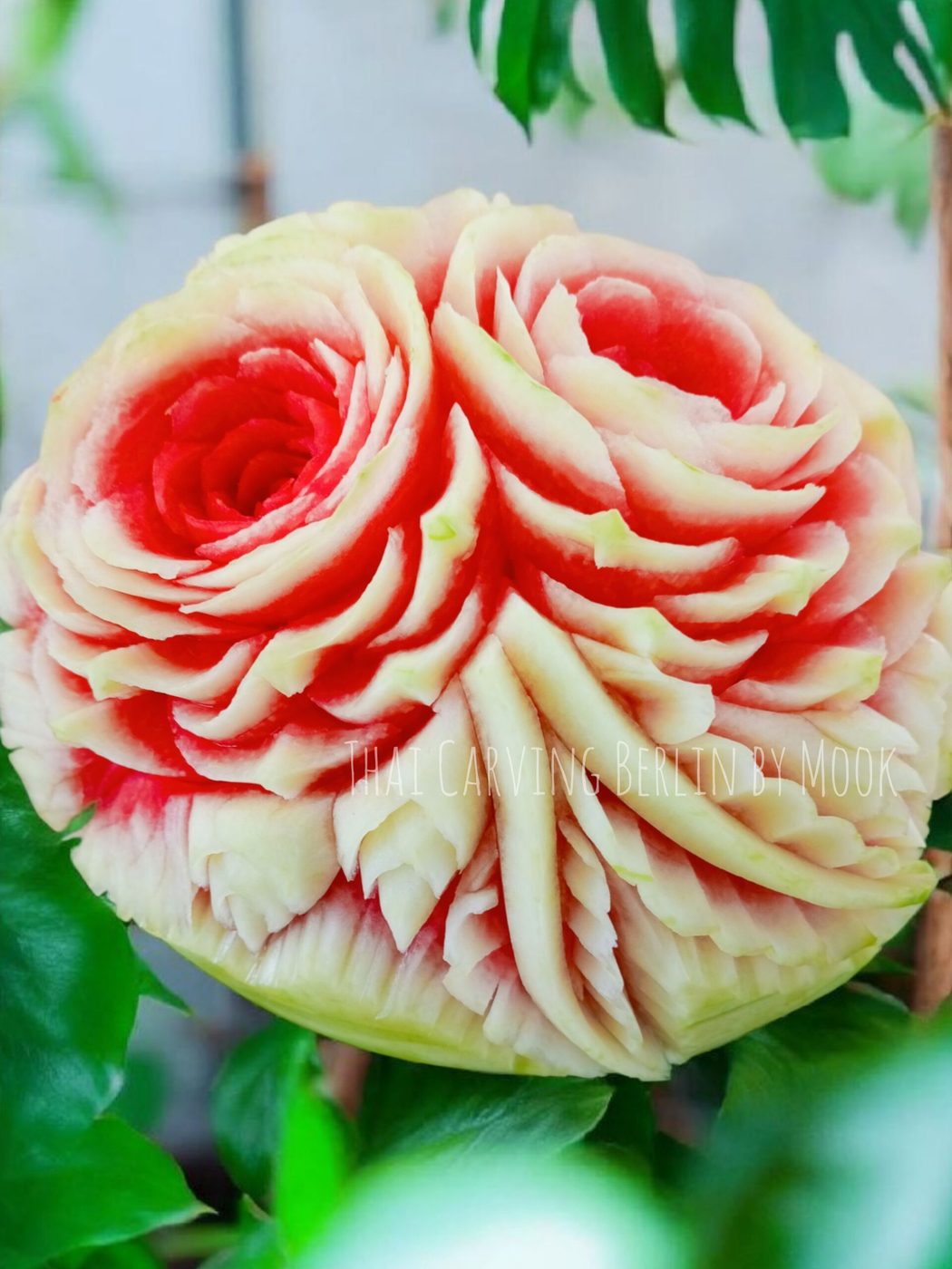 Rosen auf ganzer Wassermelone oder Melone